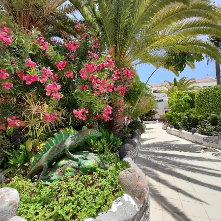 ático Parque Don José 381 Arona (Tenerife)